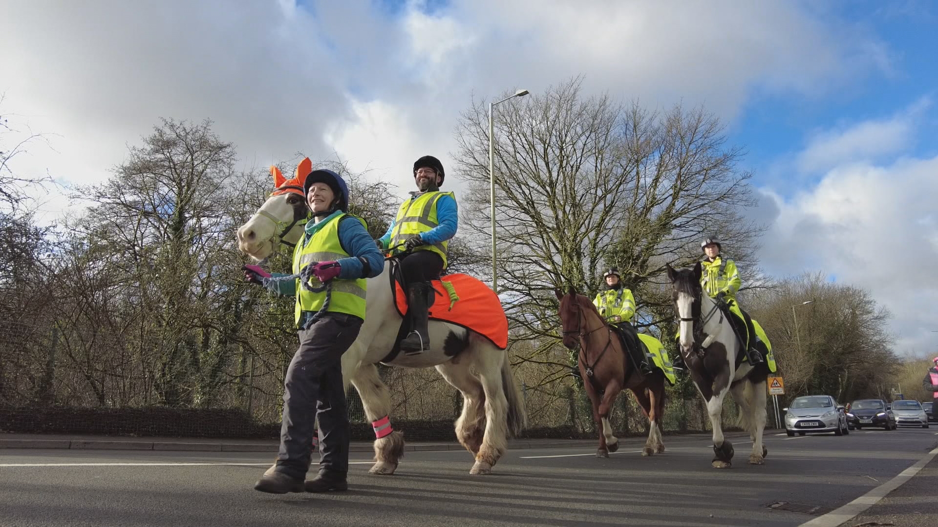 What the new highway code means for motorists when passing horses on