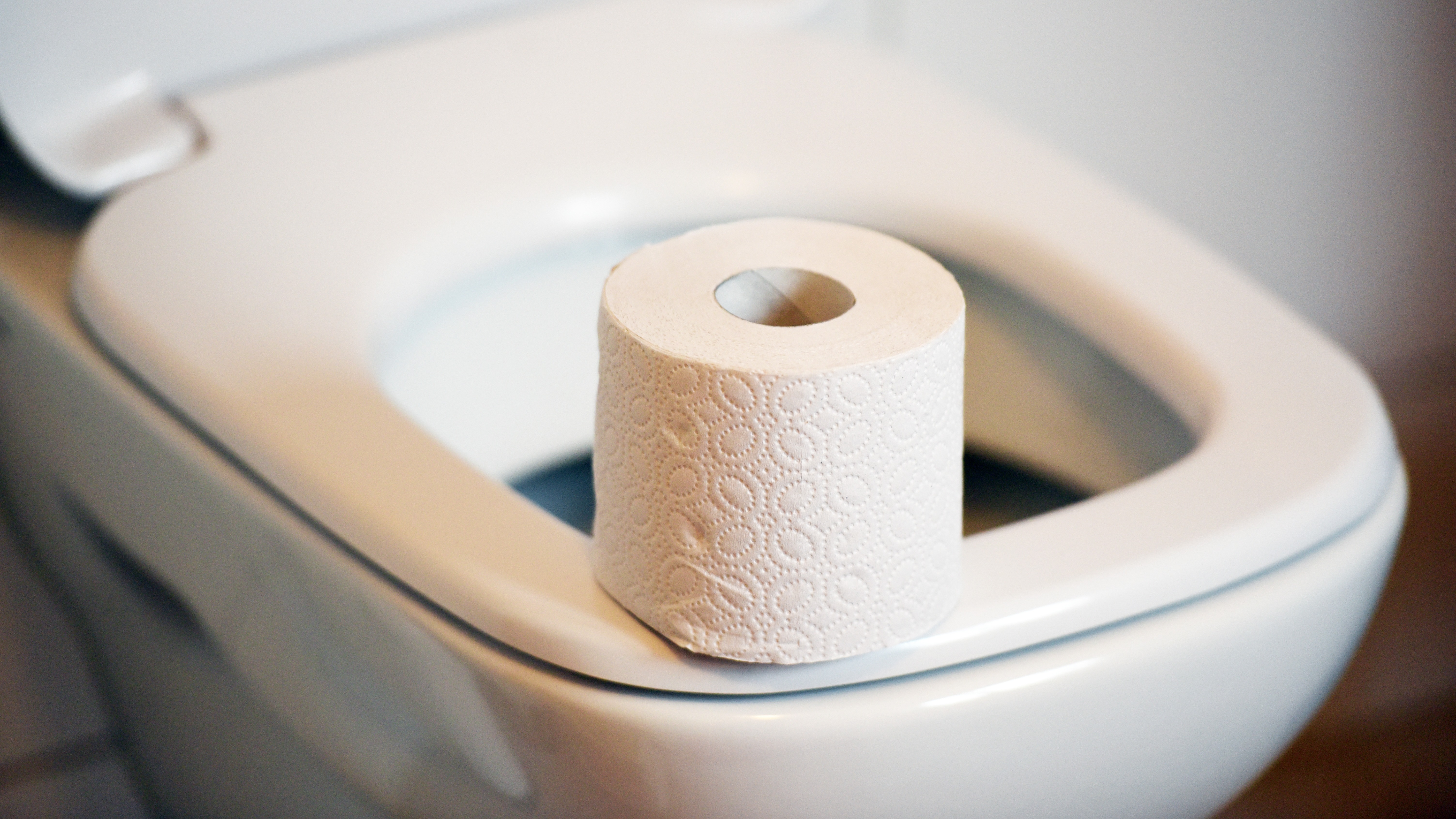 Туалетная бумага в унитаз можно ли бросать. Туалетную бумагу в унитаз. Использованная туалетная бумага. Туалетная бумага в туалете. Дом в туалетной бумаге.