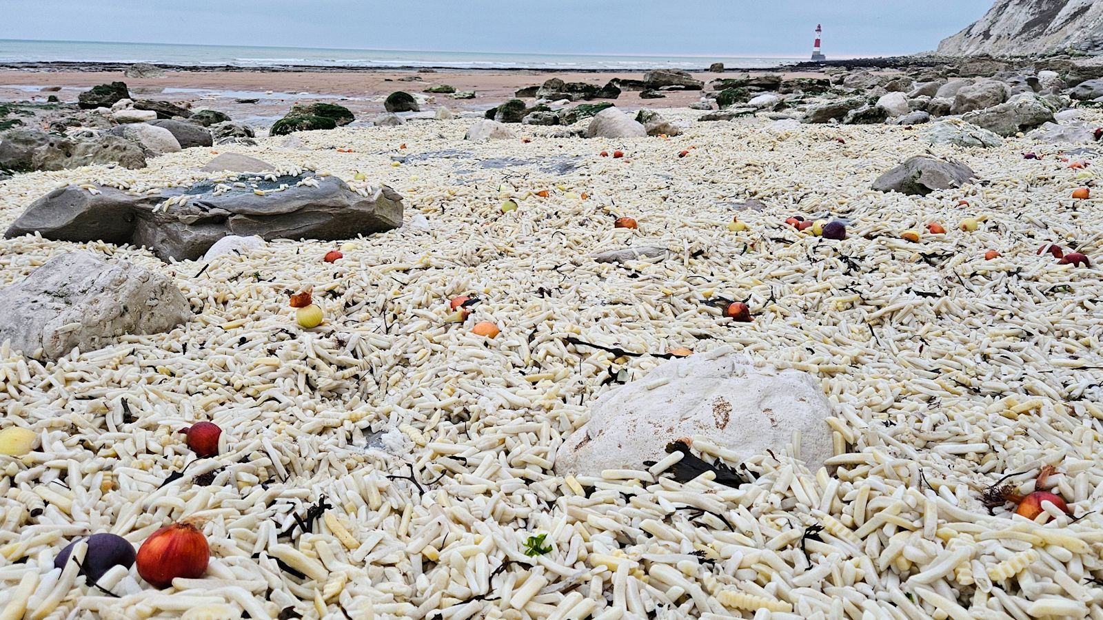 Clean-up underway after thousands of bags of chips wash up on beach ...