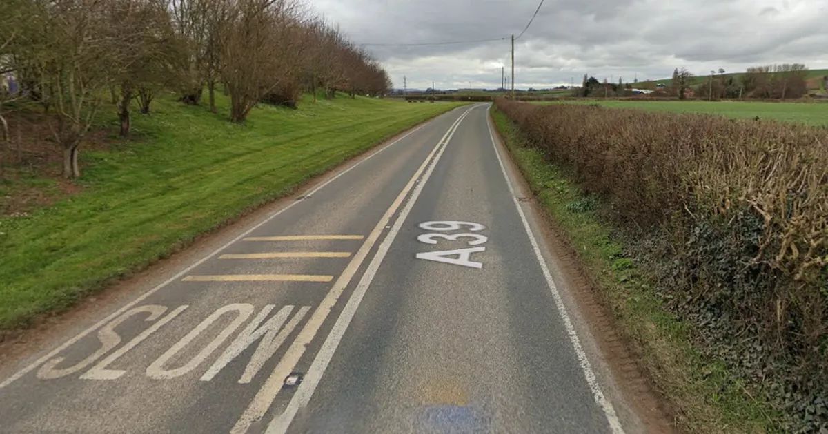 Man dies at scene of crash between car and livestock lorry on the