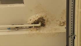 Damp on walls and leaking ceilings: NHS hospitals crumbling in 'perfect