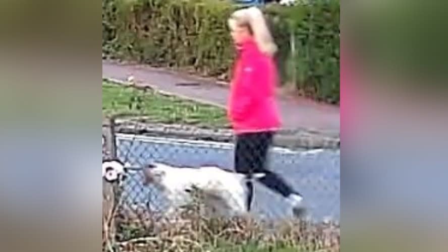 Woman found unconscious after dog walk attack dies in hospital | STV News