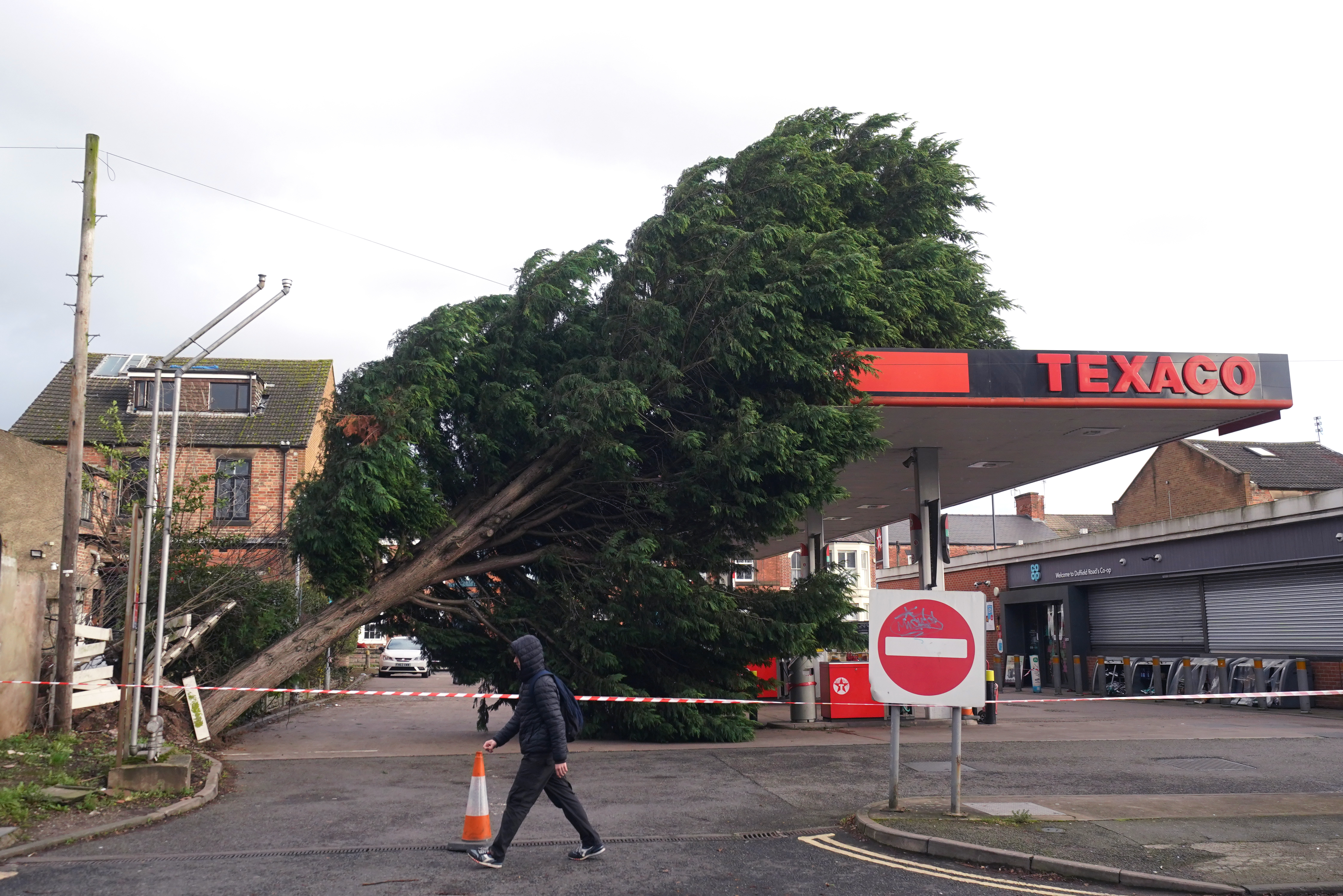 Storm Pia Man hospitalised fallen trees and homes without power