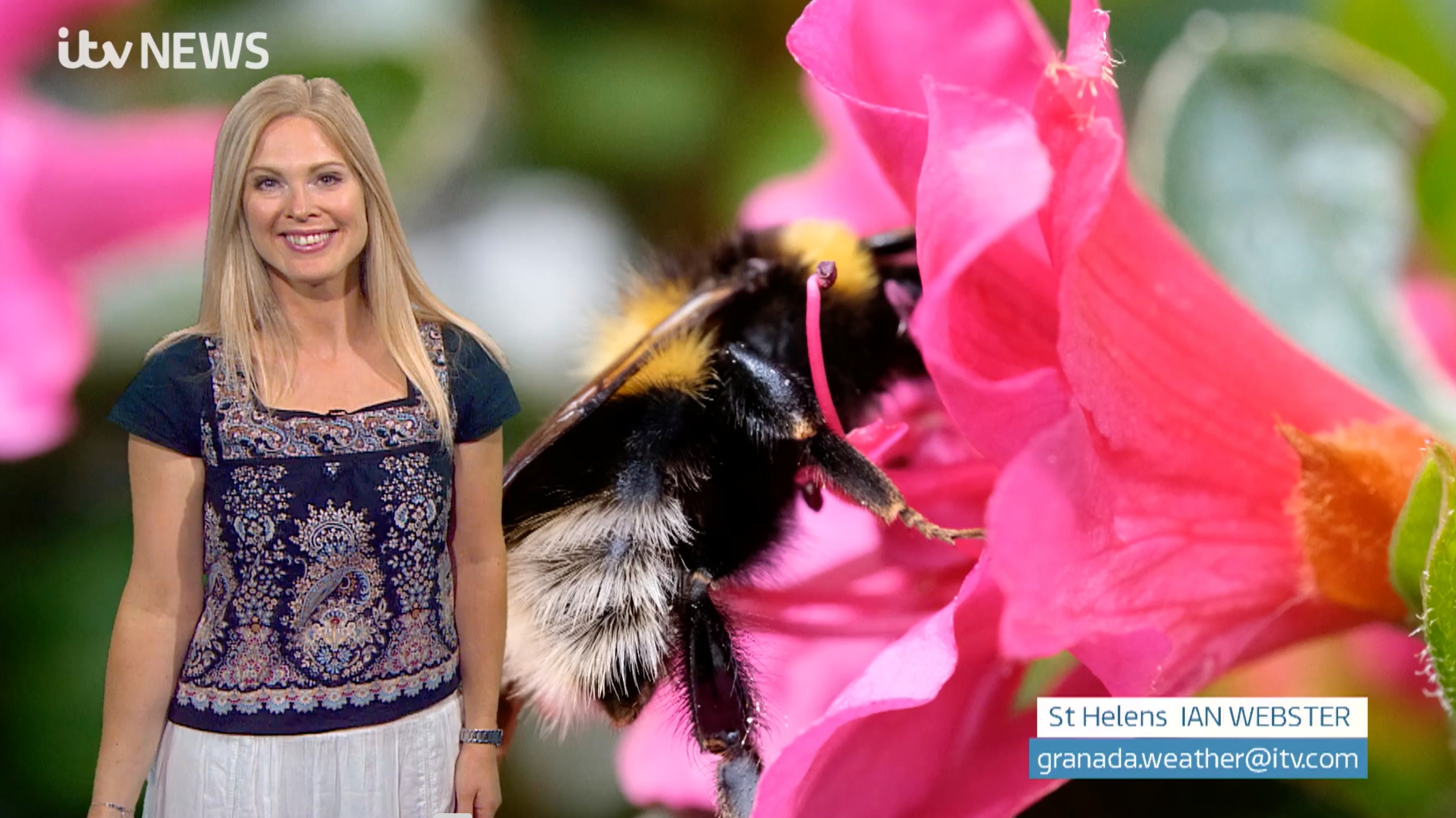 The weekend pollen forecast ITV News Granada