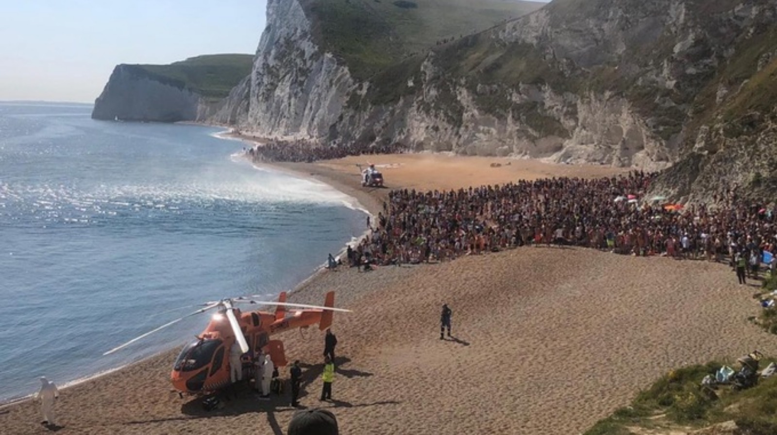 can you take dogs on durdle door beach