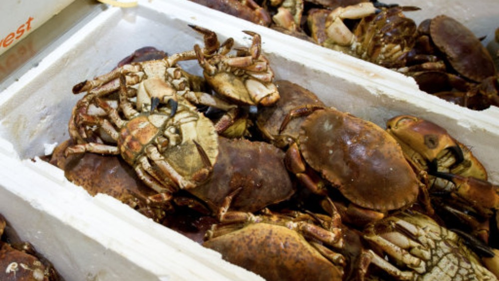 £1000s' worth of Cornish crab pots lost to storms ITV News West Country
