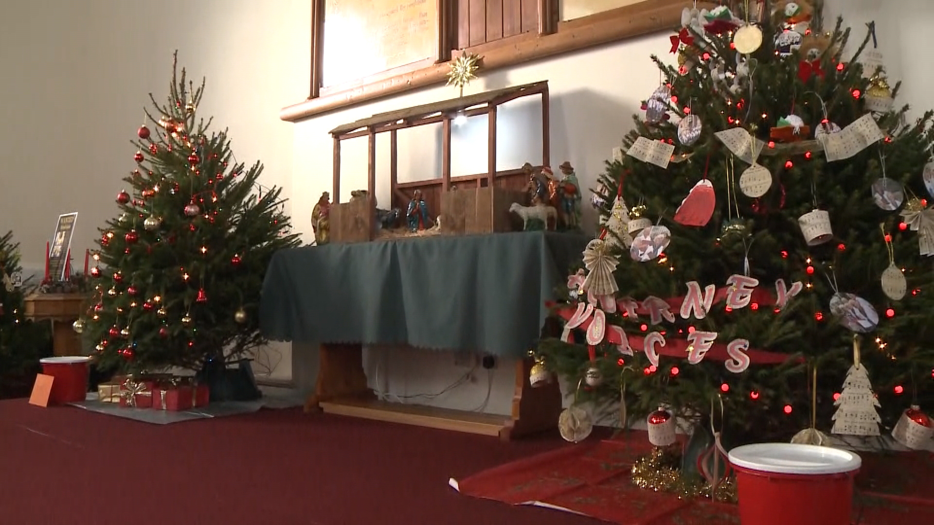 Alderney Christmas Tree festival raises money for island causes | Channel - Vimarsana News