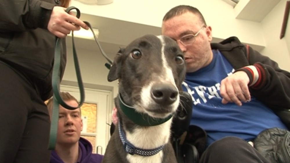 Greyhounds offer therapy to people with brain damage | ITV News Tyne Tees