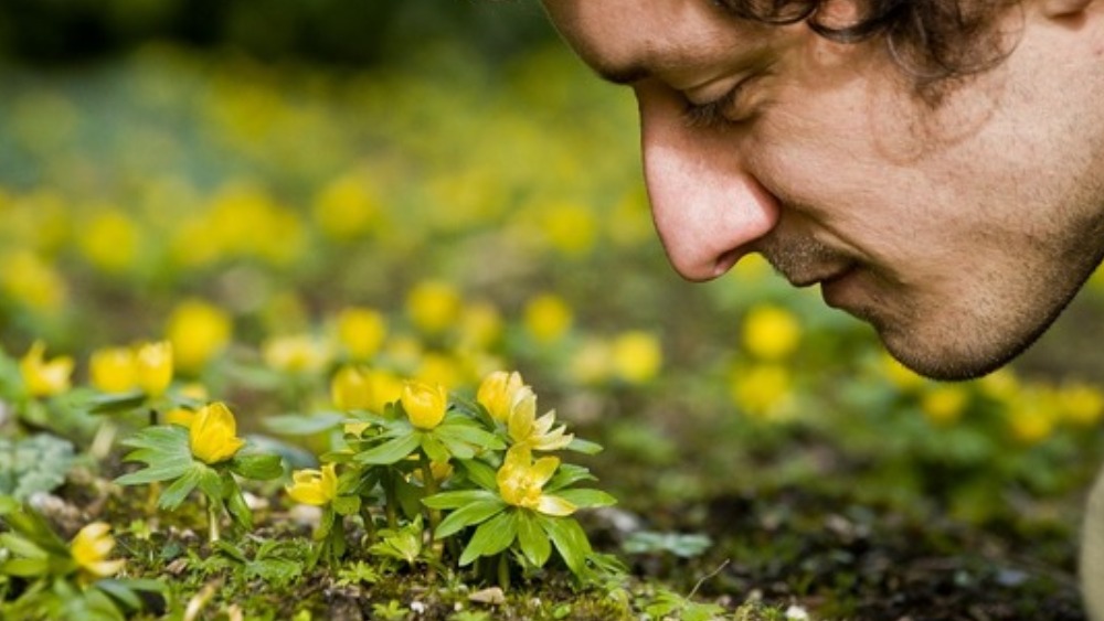 Say Goodbye To Sneezes Revolutionary Hay Fever Drug Itv News - 2i2zyp0