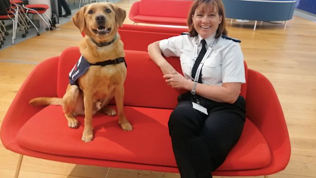 Ben with handler Claire