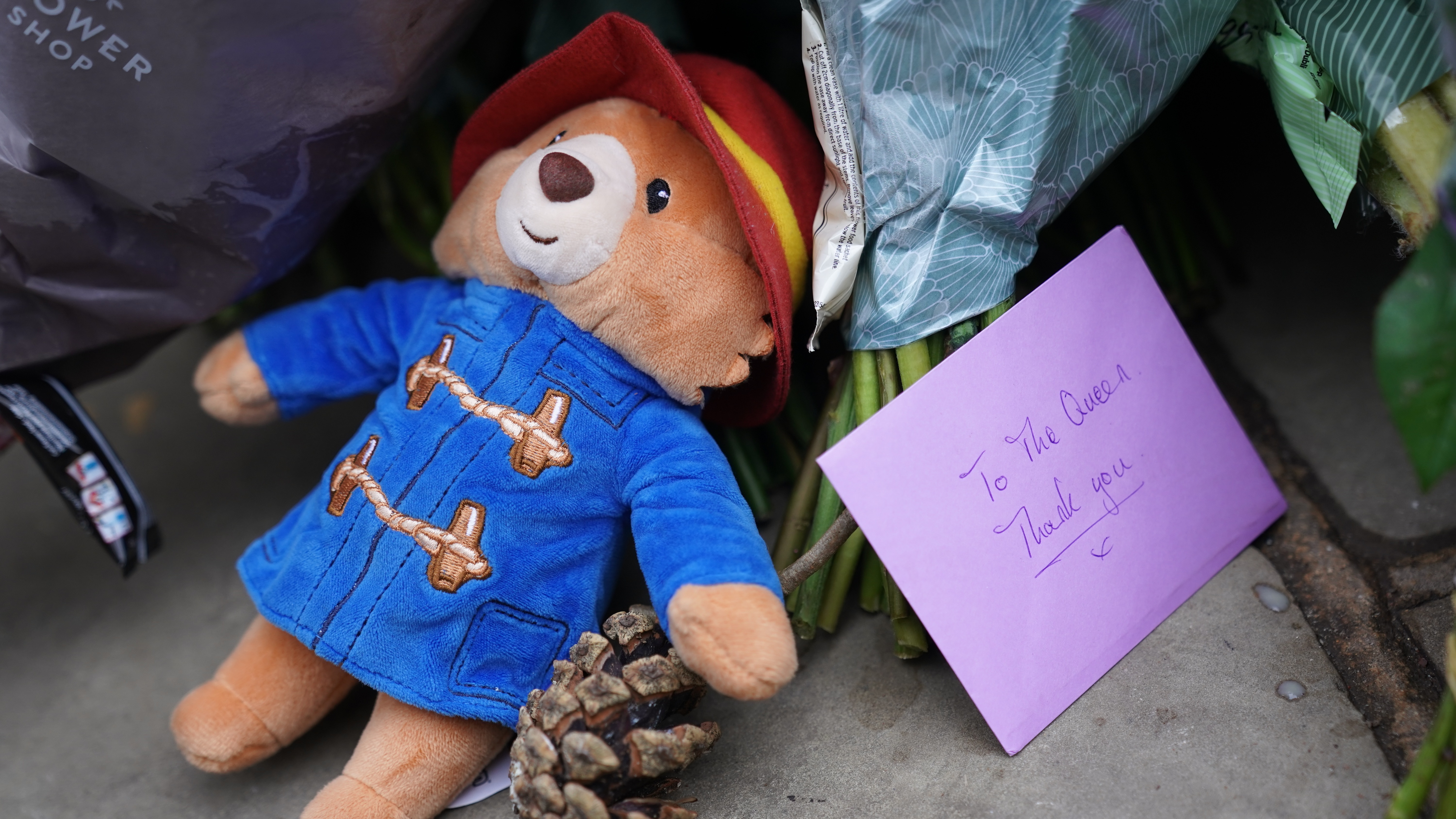 Young girl leaves Paddington Bear toy as tribute to the Queen