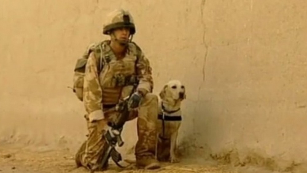 Military Award For Army Dog Killed In Afghanistan | ITV News Tyne Tees