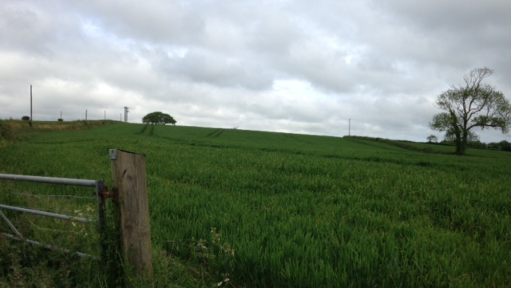 Plans unveiled for Truro's 'Living village' ITV News West Country