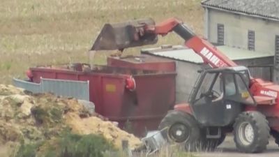 Secret footage exposes shocking scenes of dead animal disposal | ITV News