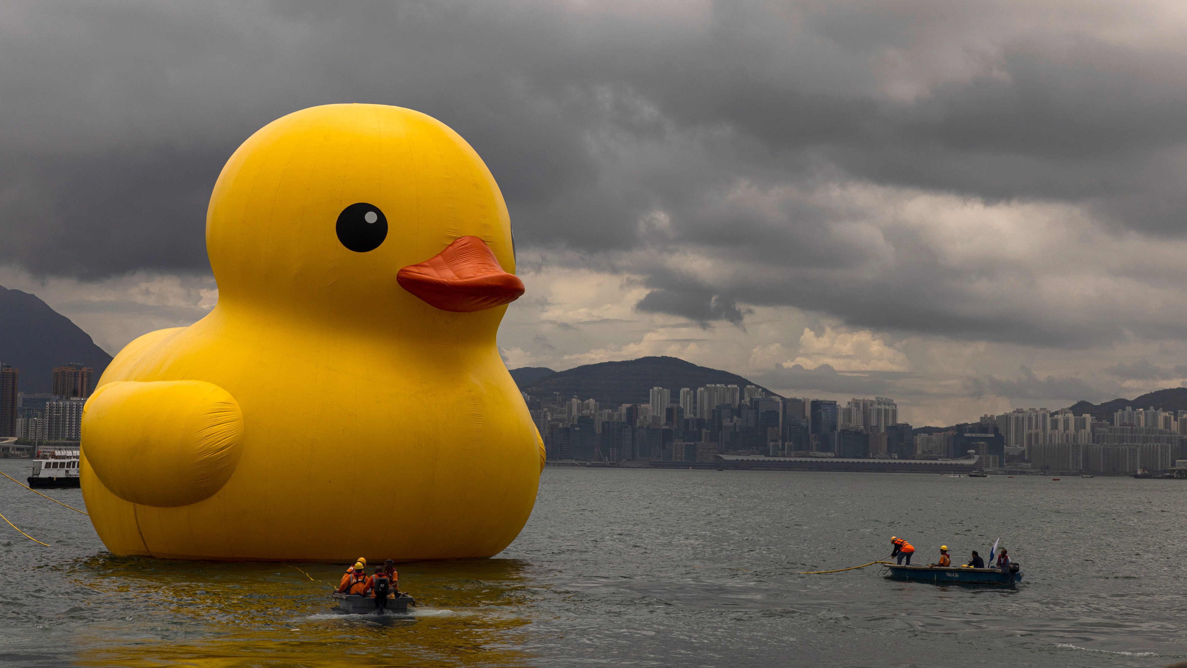 Giant rubber ducks make return splash to Hong Kong after 10 years | ITV ...