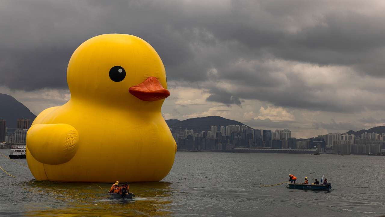 Giant rubber ducks make return splash to Hong Kong after 10 years 