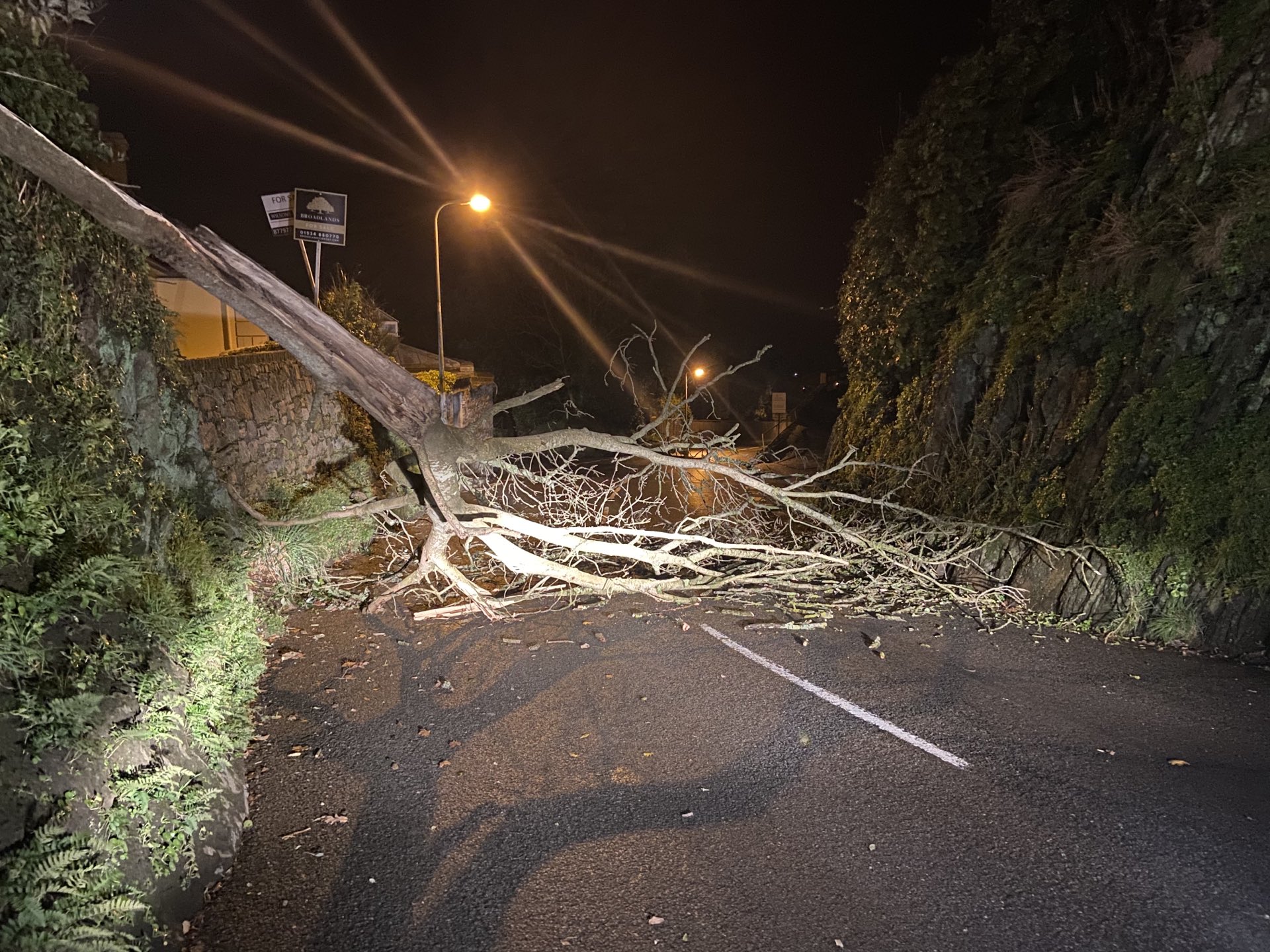 Fallen trees block roads in Jersey | ITV News Channel