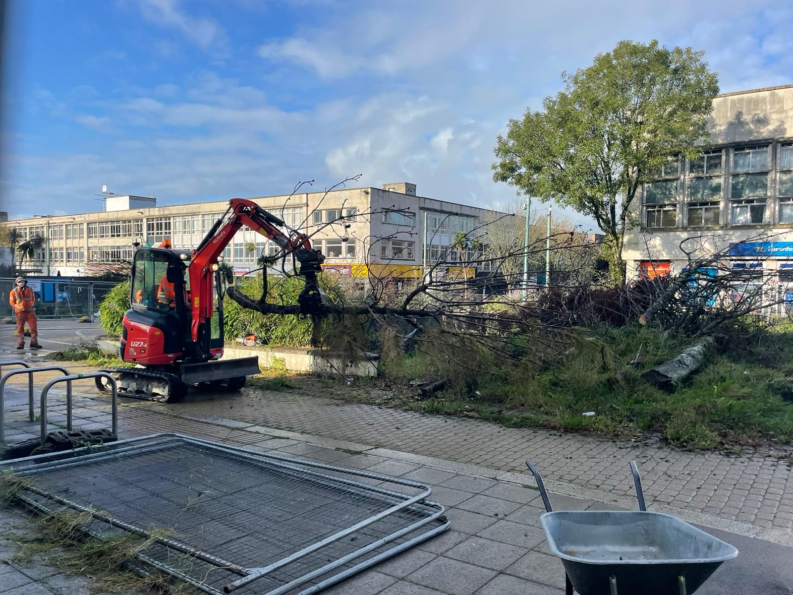 Armada Way Cleanup of felled trees begins in Plymouth city centre