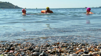 Three swimmers in the sea