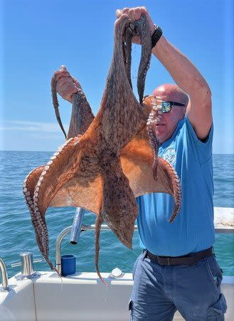 What a sight to sea': Jersey fisherman suckered in by large