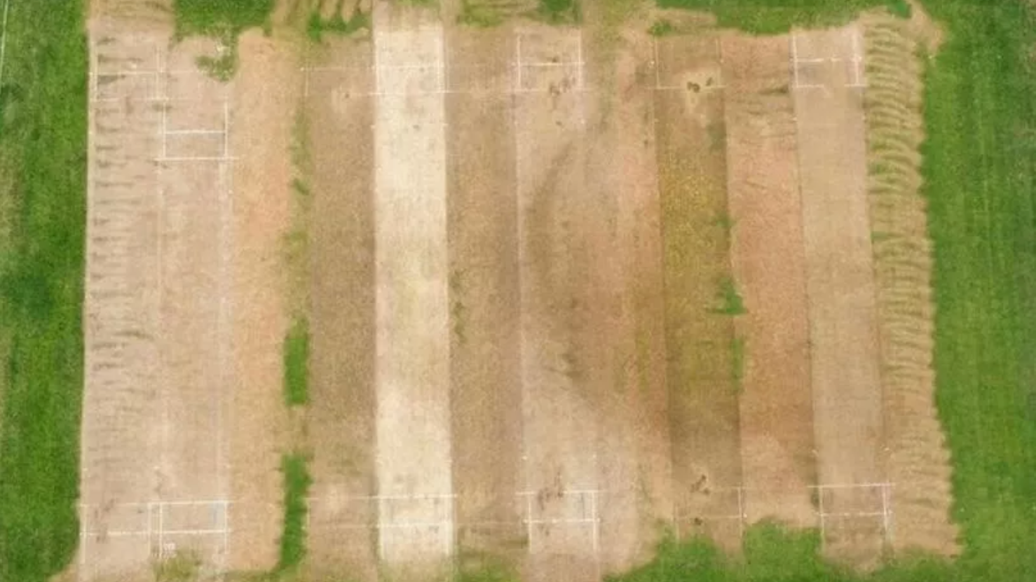 Cricket club raises £10k after weed killer attack leaves pitch