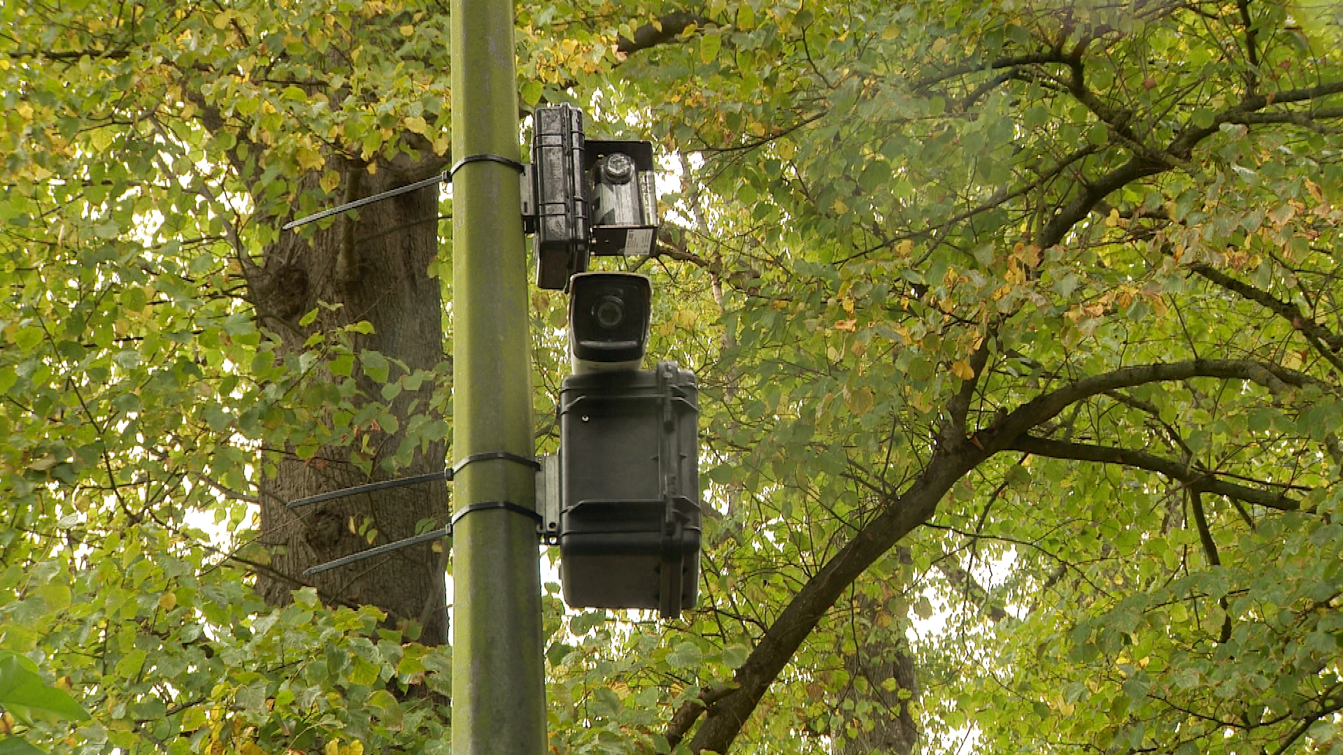 Jersey traffic cameras to help island's carbon neutral aims ITV News