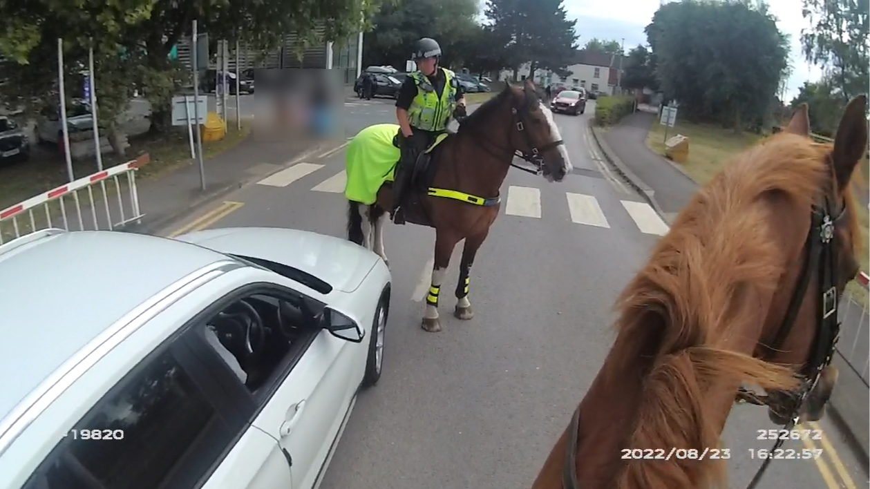 Moment driver 'drinking can of cider' is pulled over by police horses in Gloucester ITV News