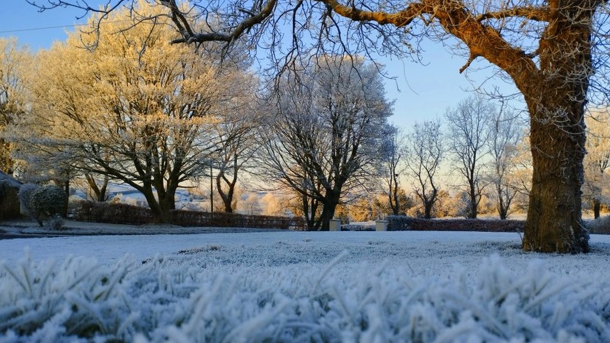 Northern Ireland Weather In Pictures, As Temperatures Fall Across The 