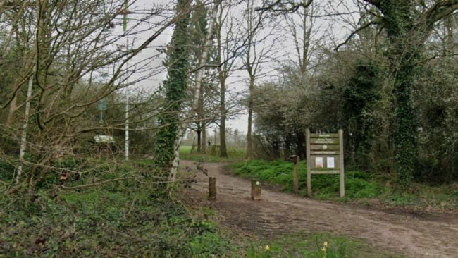 A teenage boy was raped in Jersey Farm Woodland Park on Sandringham Crescent between 3.30pm and 4.30pm on Thursday, April 4 in St Albans.
Credit: Google 