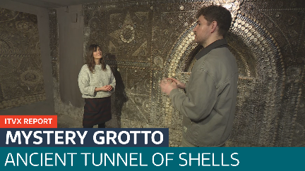 How did four million shells end up in underground caves? - Latest From ...