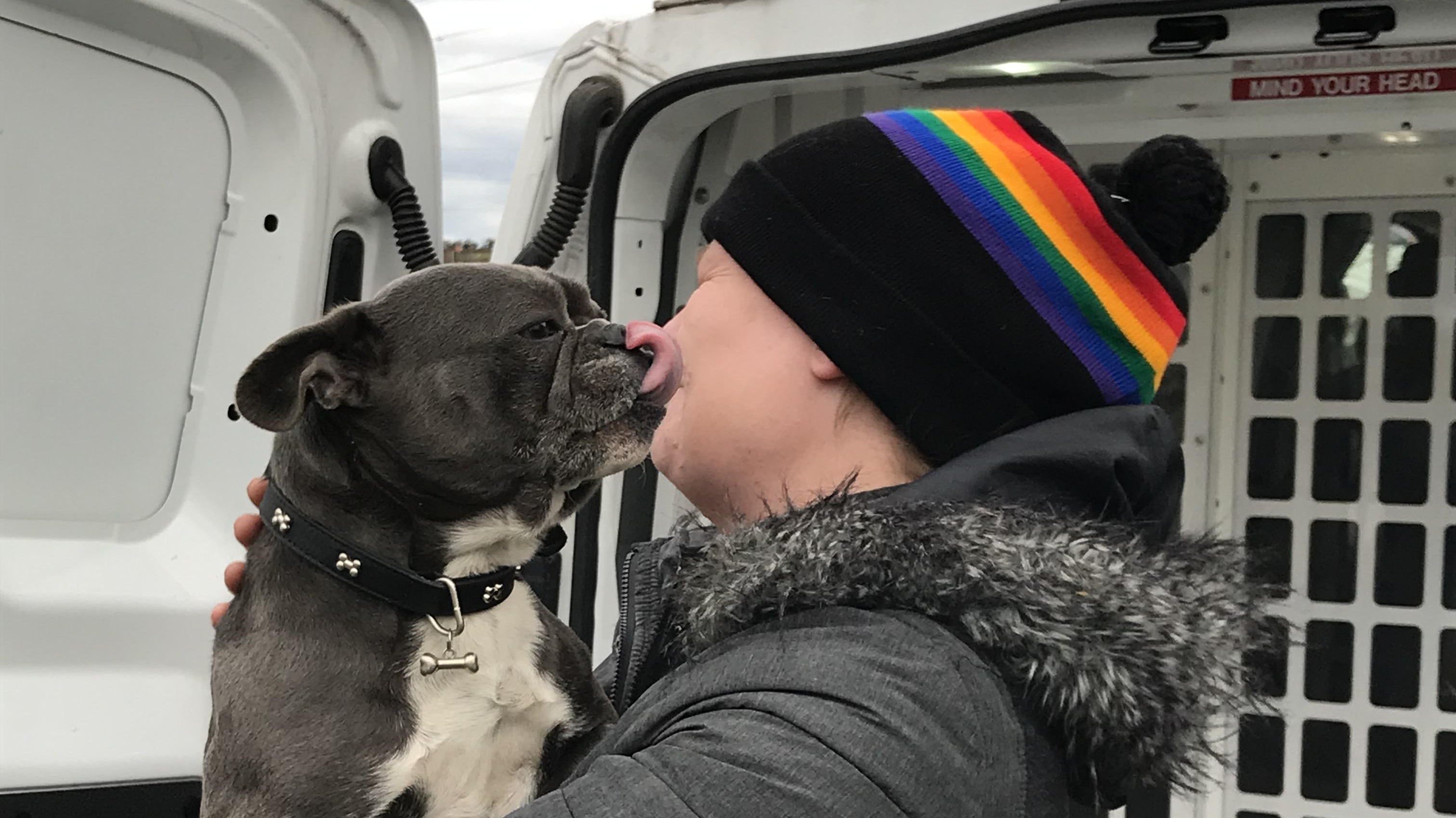 Stolen dog reunited with owner after police find her in Gloucestershire 