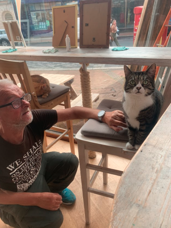 Cat lover to make 200th visit to south’s first cat cafe in Dorset