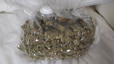290421 Cannabis