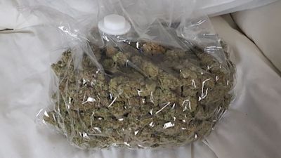 290421 Cannabis