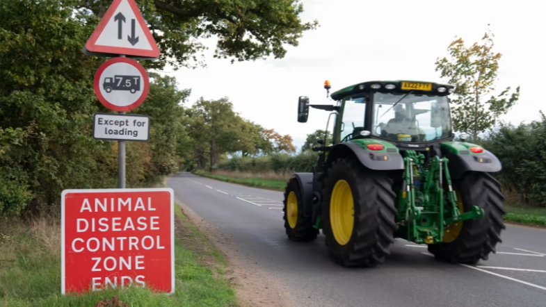 Bird flu confirmed in commercial poultry operation near Fakenham in Norfolk ITV News Anglia