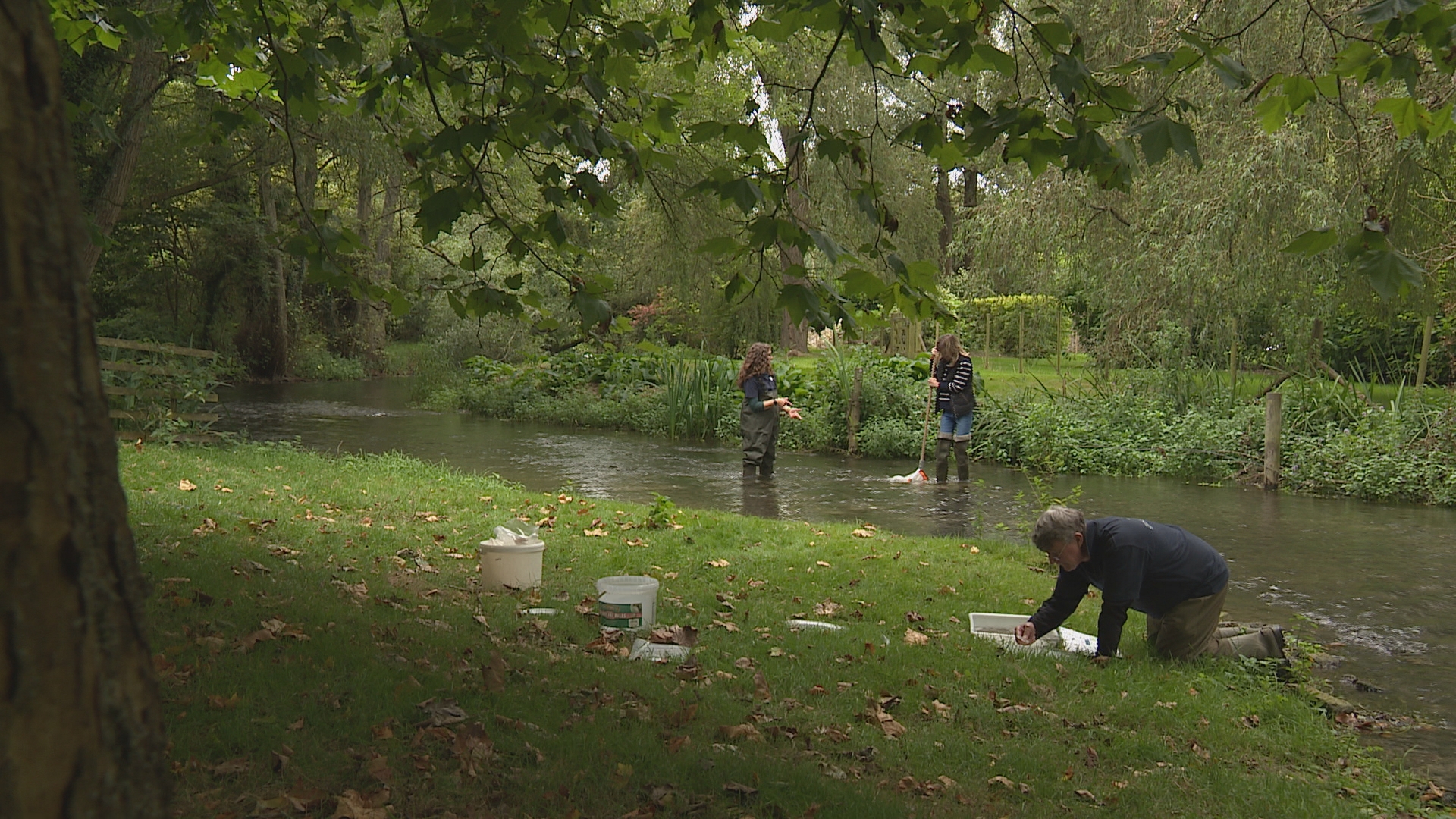 Spirit of the South: Why the River Meon is England's answer to ...