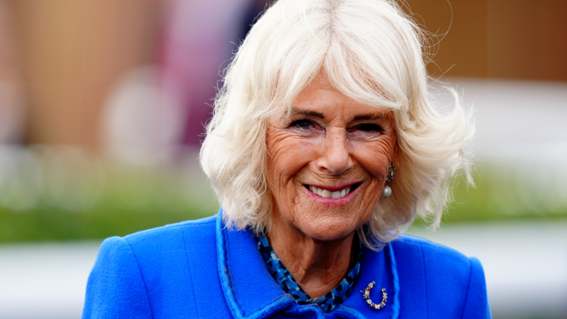 Queen Camilla fended off attacker with a shoe as a teenager, book reveals