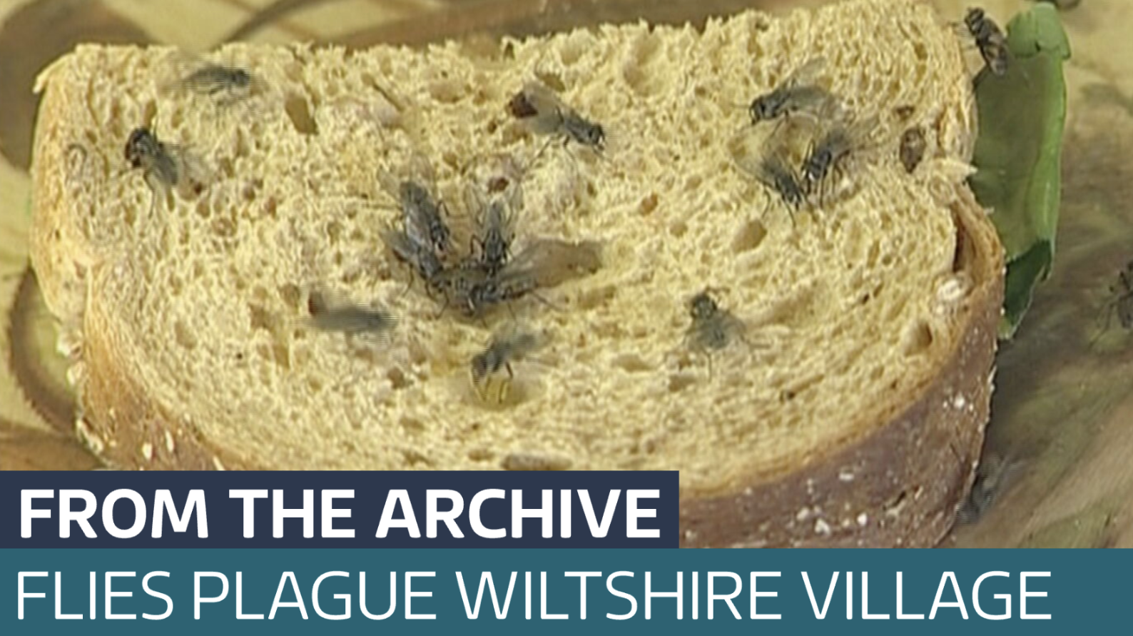 A look back: The West Country village where flies turned life into a ...