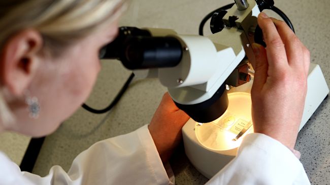 File photo dated 19/05/08 of a woman looking at matter under a microscope. Cancer cases have reached a record level in the UK, with around one person diagnosed every 80 seconds, figures suggest. Analysis by Cancer Research UK shows more than 403,000 people are diagnosed with the disease every year, largely due to a growing and ageing population, with people more likely to develop the disease as they age. Issue date: Thursday April 23, 2026.