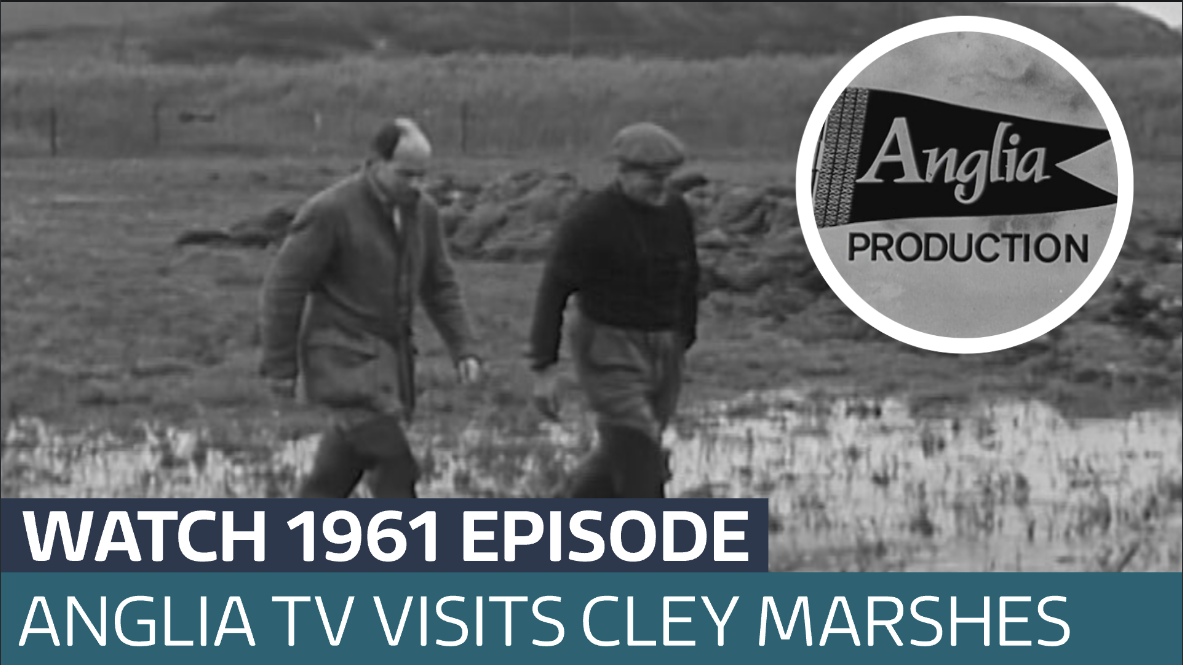 Anglia Archive: Cley Marshes 65 years ago - Latest From ITV News