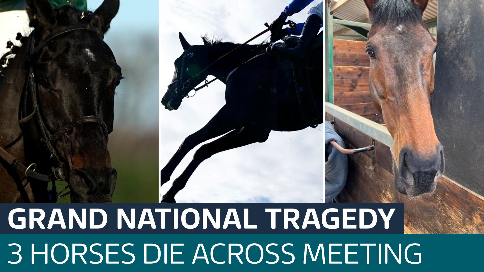 Three horses die during Grand National Festival outraging animal rights