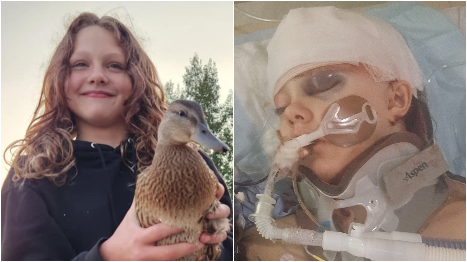 Canada shooting: What we know about the country's deadliest shooting in  years | ITV News