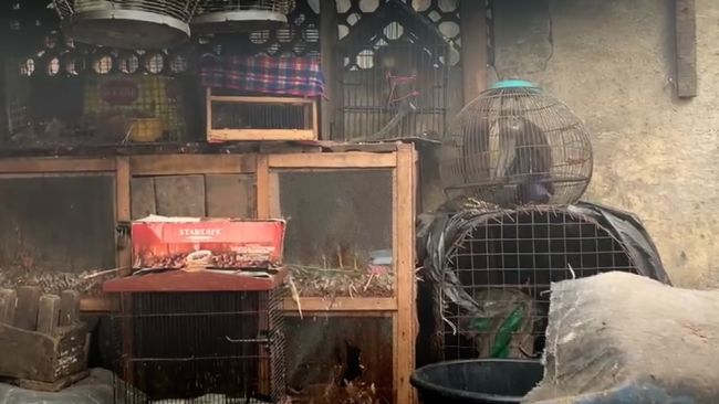 Wet market animal cages