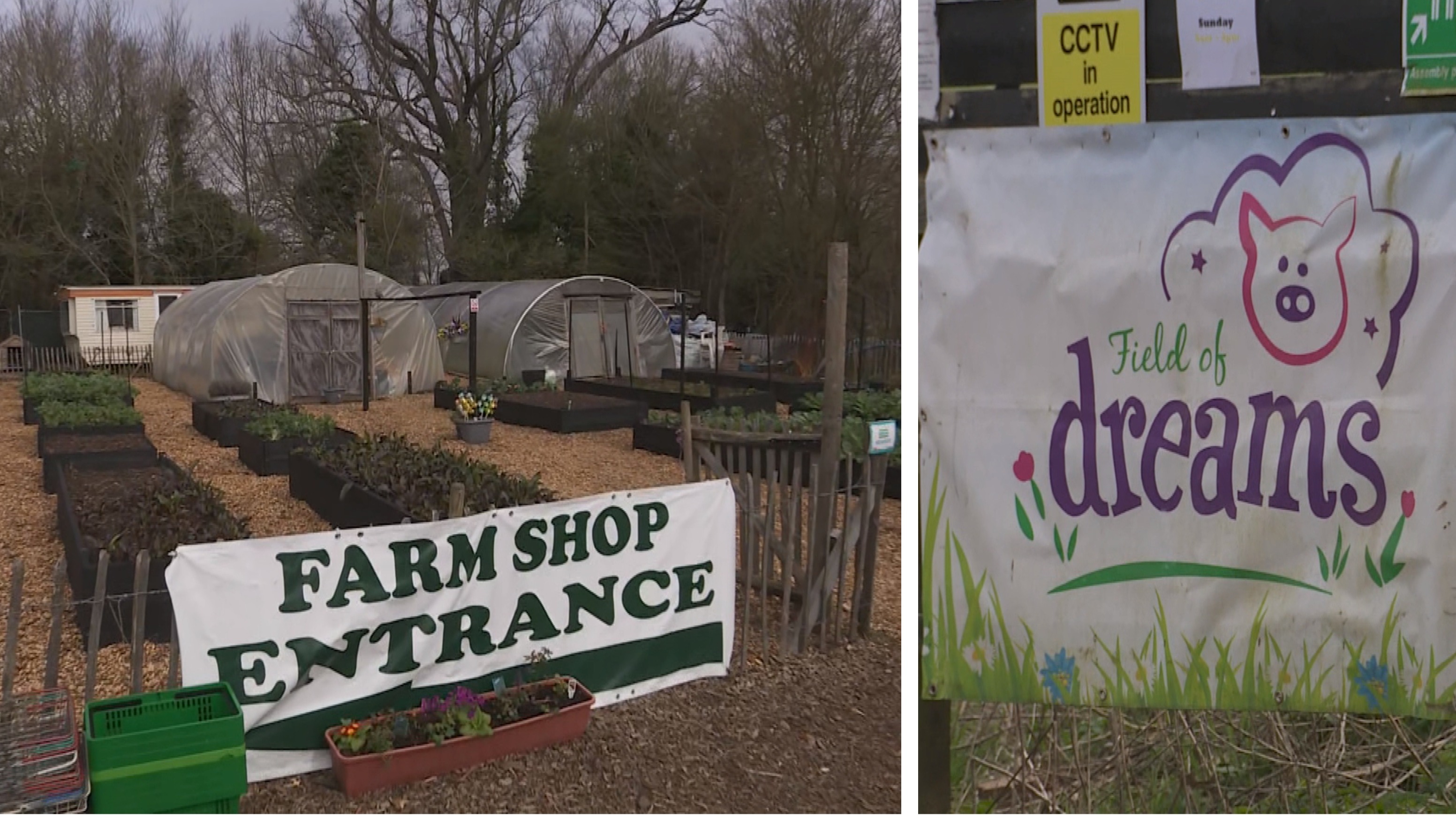 Suffolk'S Retail Nightmare: Two Stores To Close Immediately? - 1qqu8f9