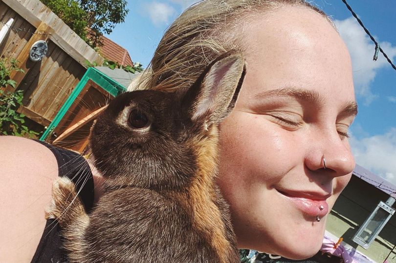 Bristol pet lover's New Year warning after four of her rabbits die of
