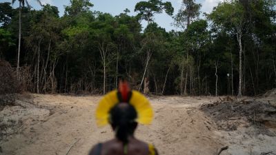 Deforestation in Africa  Chatham House – International Affairs Think Tank