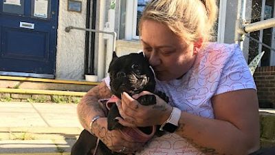 131021 STOLEN DOG ANG/RSPCA