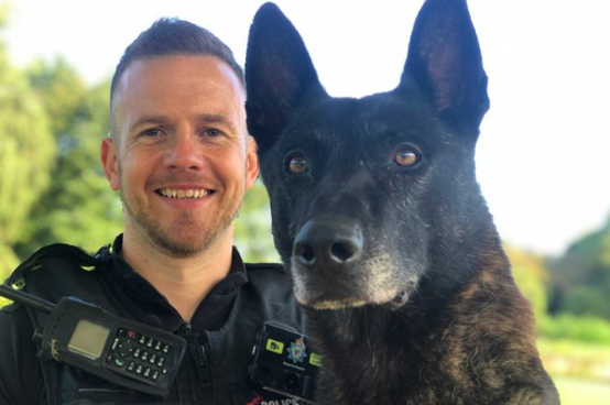 Police dog enjoys 'plate full of treats' after helping arrest four ...