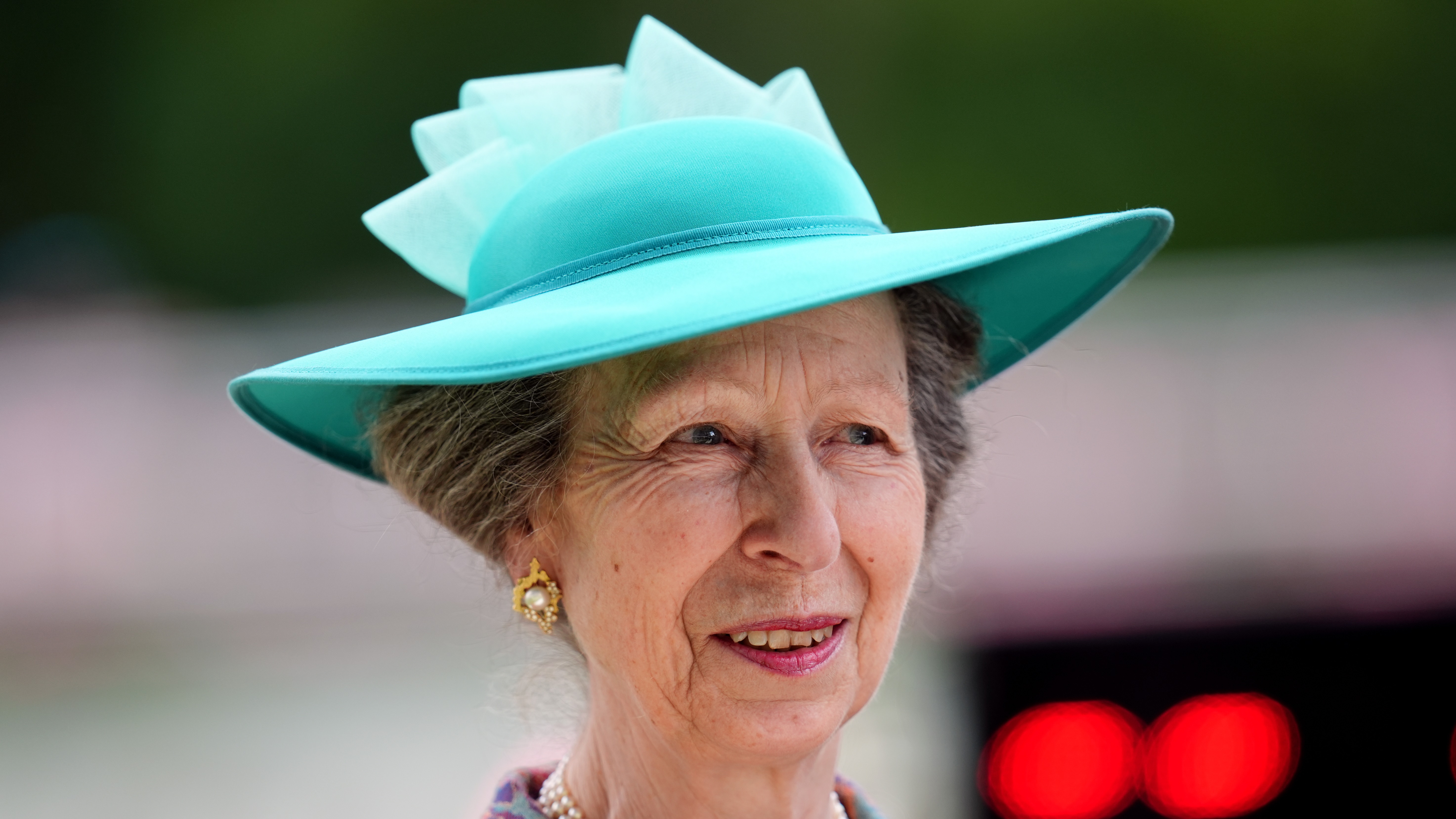 Princess Royal suffered 'concussion and minor injuries' following an ...