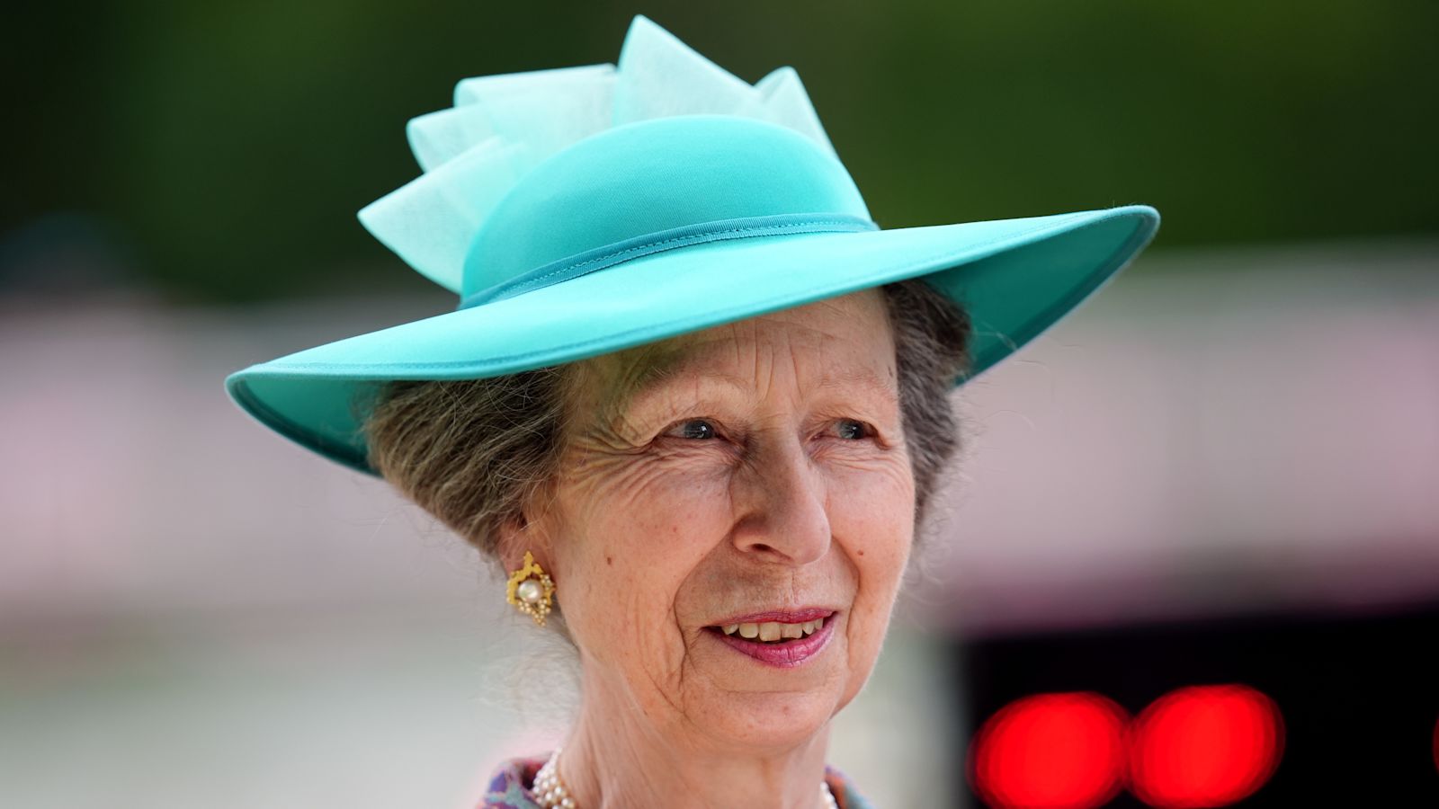 Princess Royal suffered 'concussion and minor injuries' following an ...